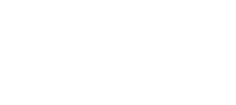 Intronik GmbH logo